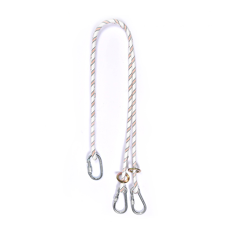 HT-S-0016/HT-S-0017/HT-S-0012/HT-S-0013 Laboris Positionem Pudor Lanyard